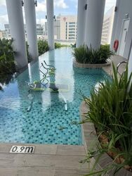 Neu At Novena (D11), Apartment #447896501
